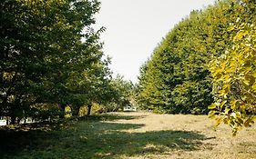 Numa Experimental